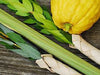 Lulav & Etrog: Widest Selection in the Southern hemisphere ! - Lulav & Etrog - Sukkahmart South Africa