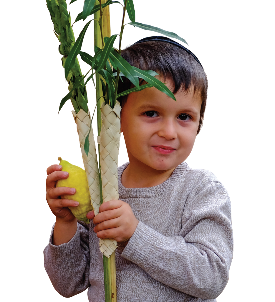 Lulav & Etrog Chinuch Set - please see Ts and Cs - Lulav & Etrog - Sukkahmart South Africa